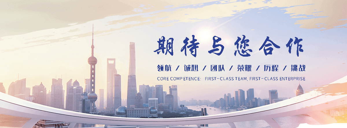 巴彦海狮租赁公司